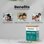 Himalaya Tentex forte Tablet – 10 Tab