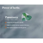 Himalaya Punarnava Tablet – 60 Tab