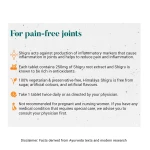 Himalaya Shigru Tablet – 60 Tab