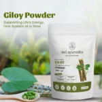 Giloy Powder