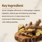 Neel Ayurvedics Sunth Powder