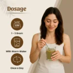 Neel Ayurvedics Sunth Powder