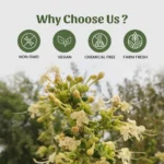 Arni Panchang Powder