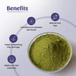 Neel Ayurvedics Indigo Powder