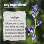 Neel Ayurvedics Indigo Powder