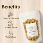 Neel Ayurvedics Paneer Dodi