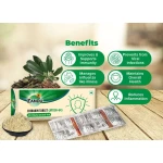 Zandu Chirakin Tablets – 10 Tab