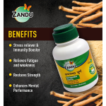Zandu Ashwagandha Churna – 60 Gm
