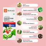 Jeevan Sanjeevani Kwath