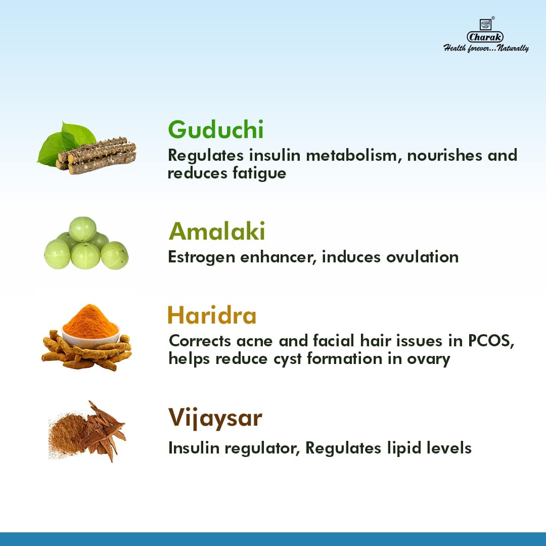 HYPONIDD-CAROUSELS_FINAL-3-1