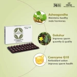 Charak Zoazest Nutra Tablet – 30 Tab