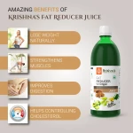 Fat Reducer Juice