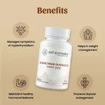 Neel Ayurvedics Kanchnar Tablet