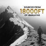 Neel Ayurvedics Shilajit Resin