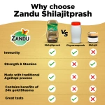 Zandu Shilajitprash
