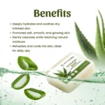 Neel Ayurvedics Aloevera Soap
