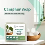 Neel Ayurvedics Soap 2